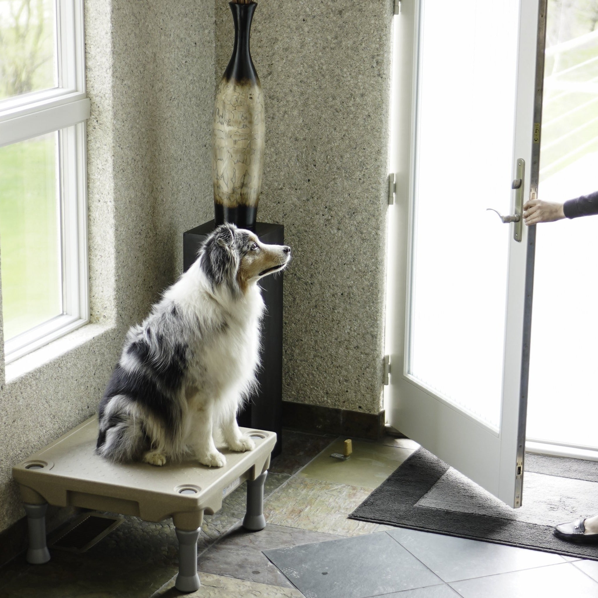 Elevated Dog Training Platform product image 2