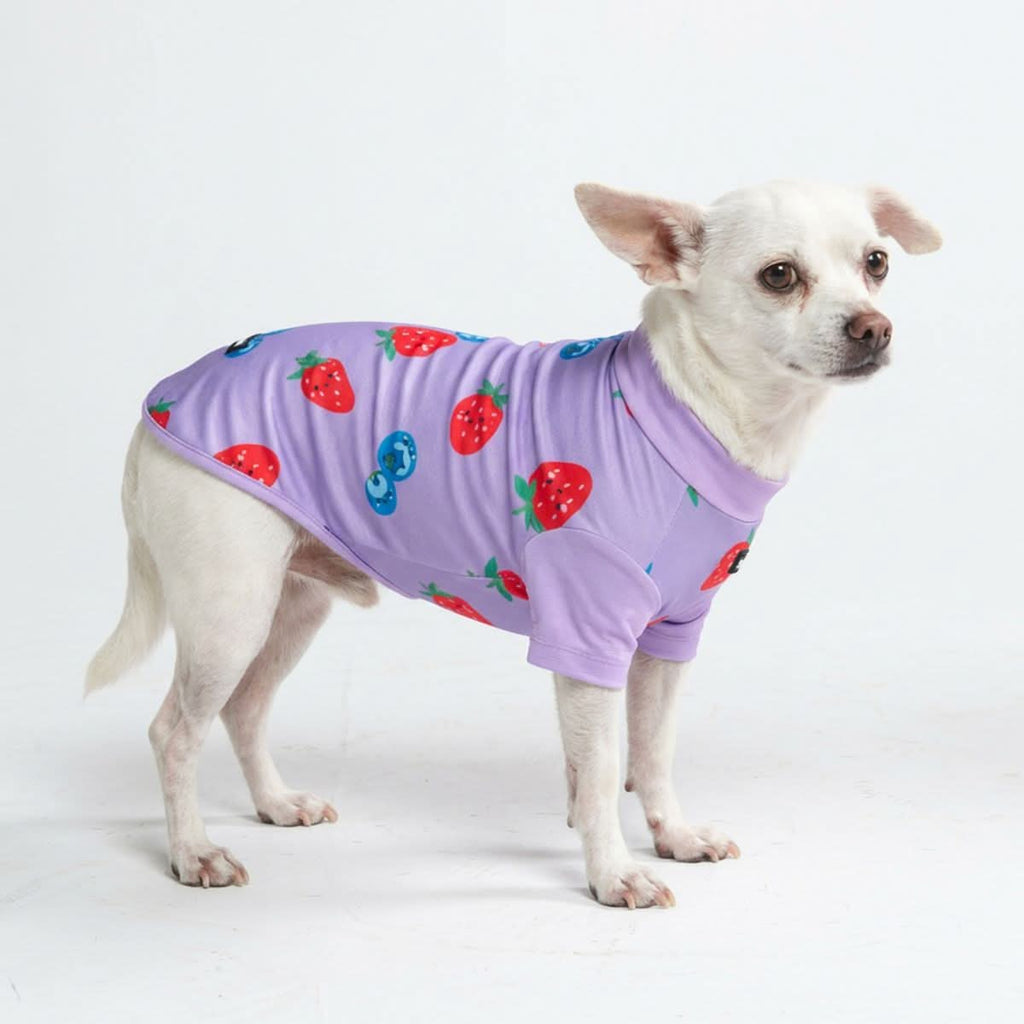 UPF 30 Printed Dog Sun Shirt product image 26