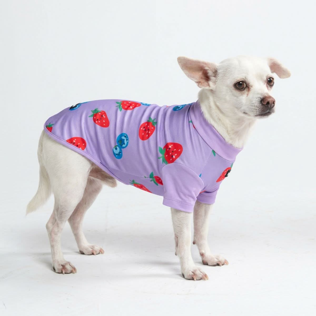 UPF 30 Printed Dog Sun Shirt product image 26