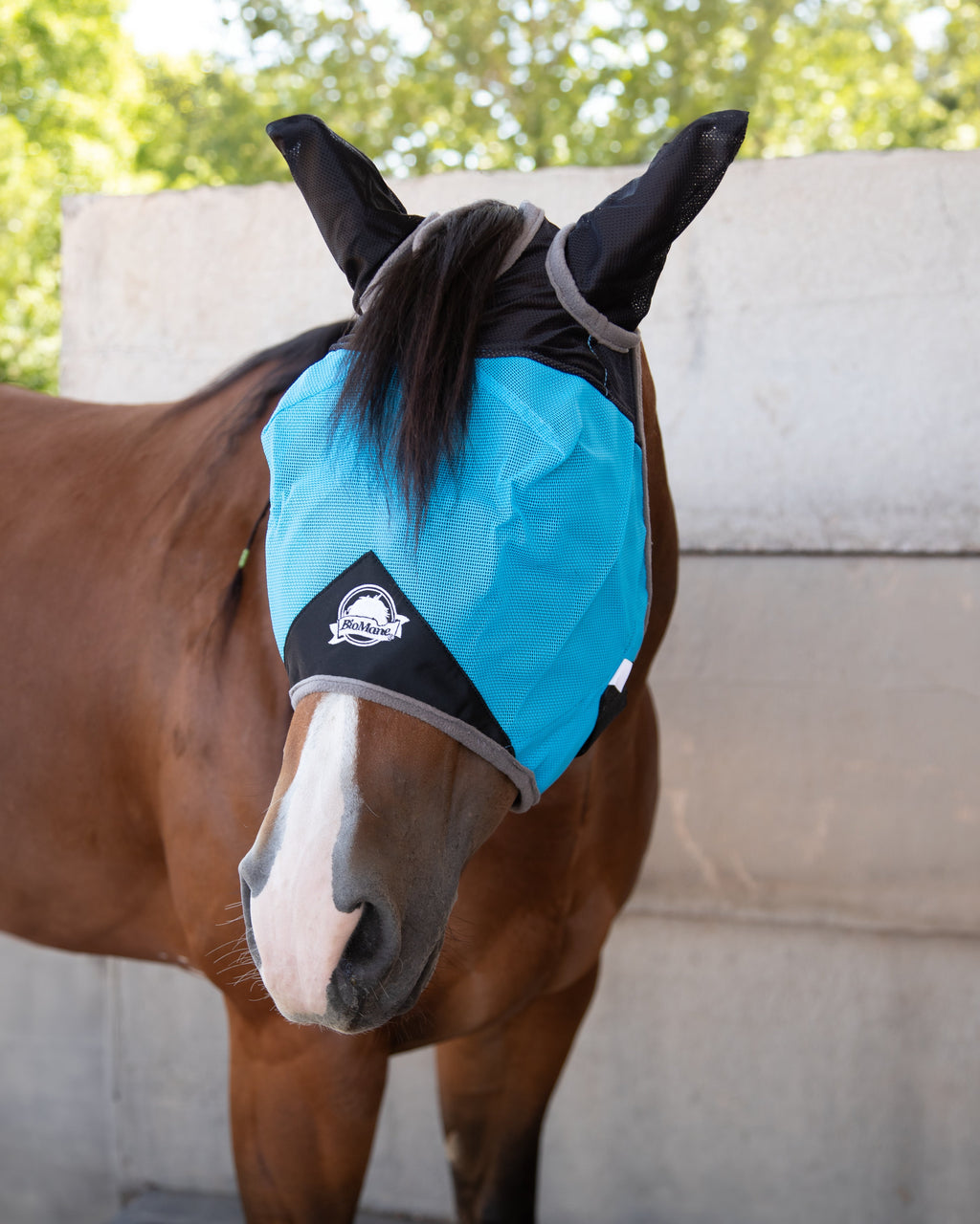 Quarter Horse Fly Mask product image 2