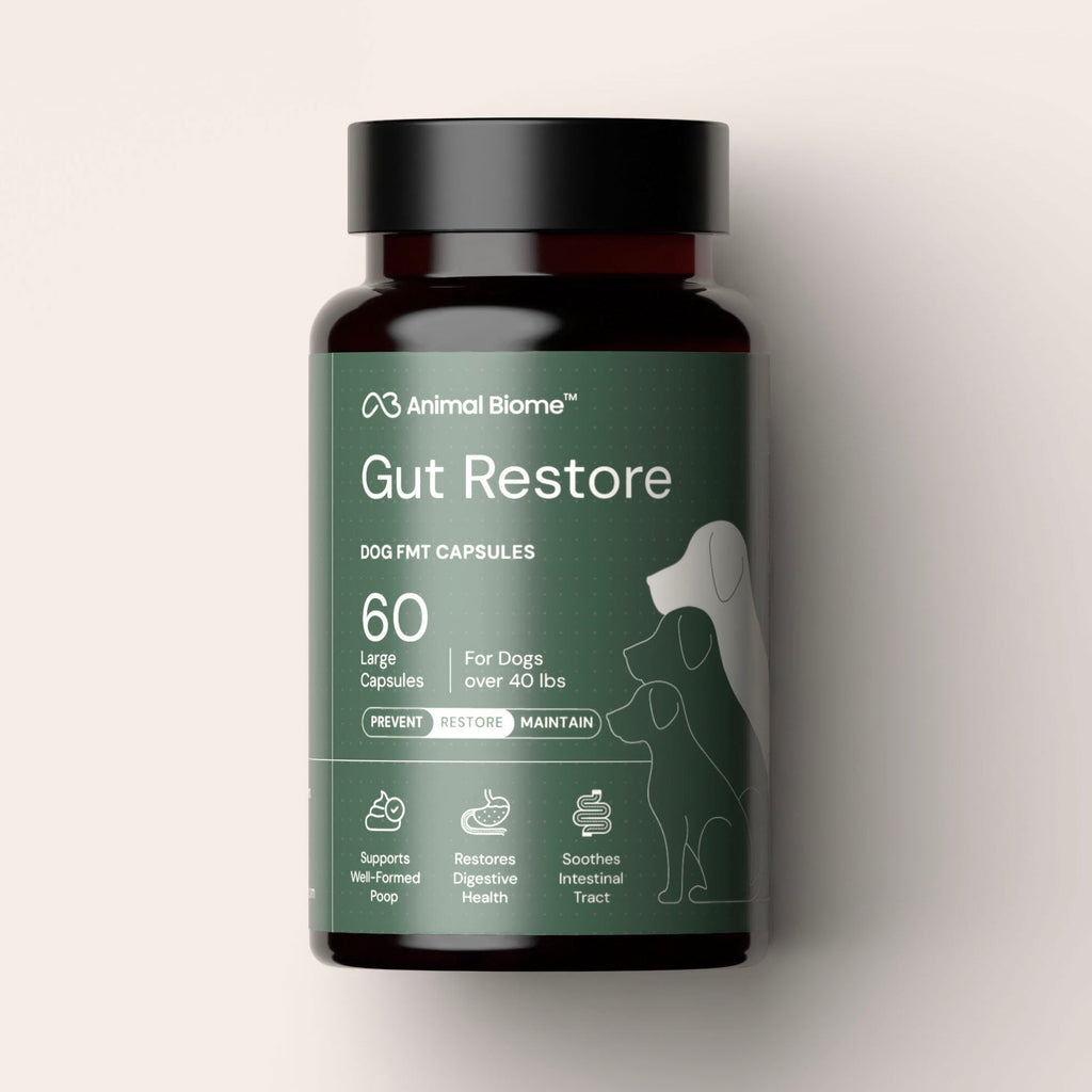 Dog Gut Microbiome Support Capsules product image 1