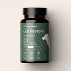Dog Gut Microbiome Support Capsules product image 1
