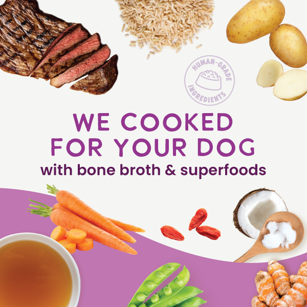 Gently Cooked Beef Dog Food product image 4