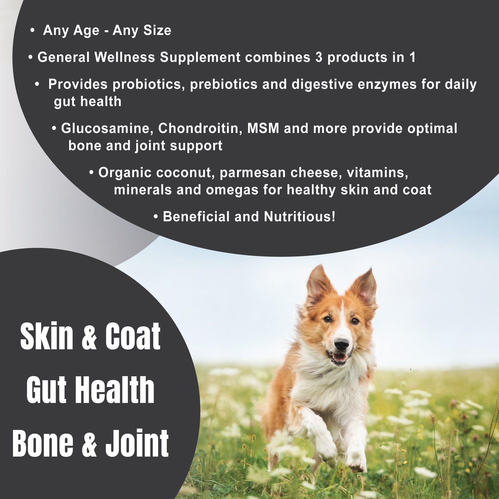 All-in-One Dog Nutrition Supplement product image 2