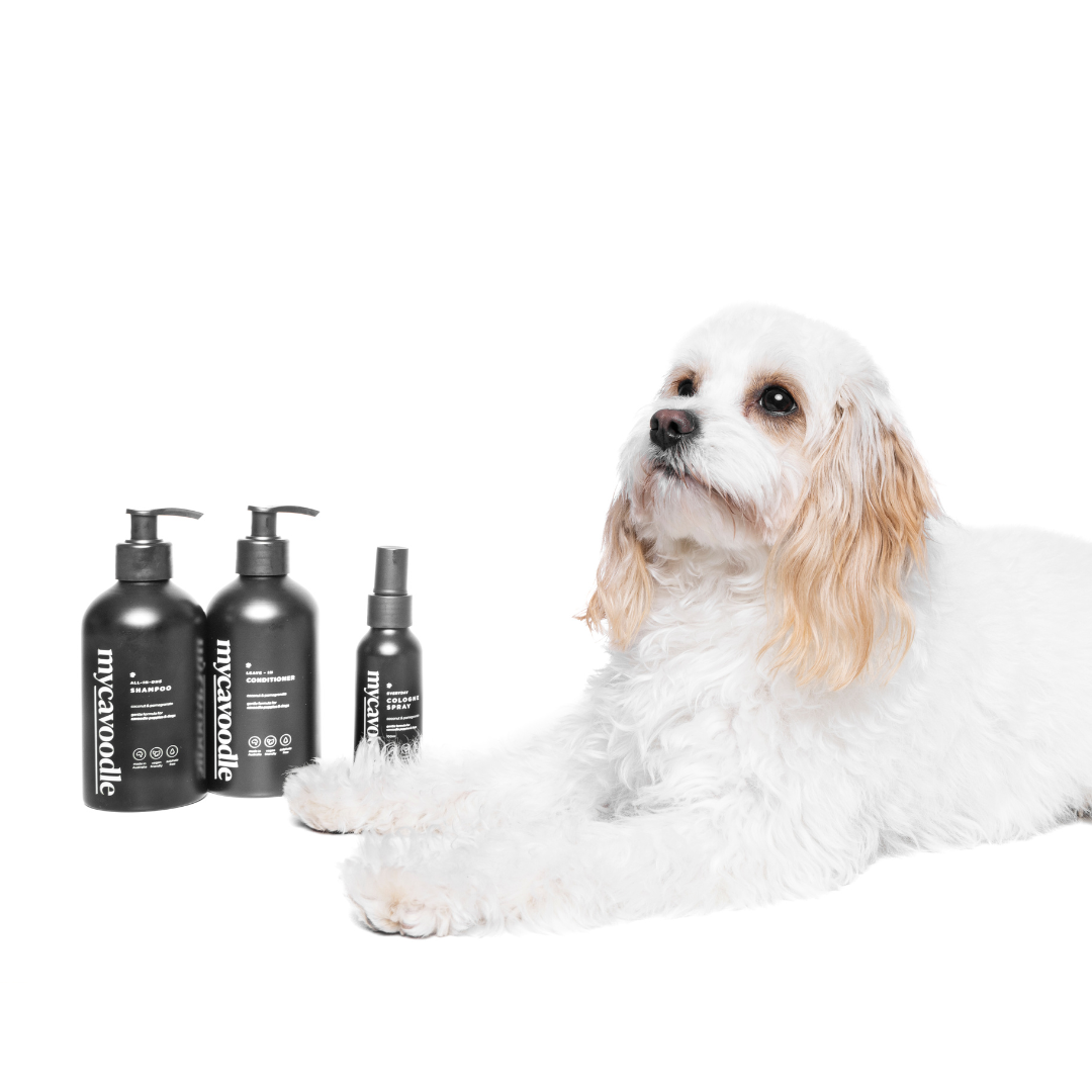 Three-Piece Dog Grooming Set product image 8