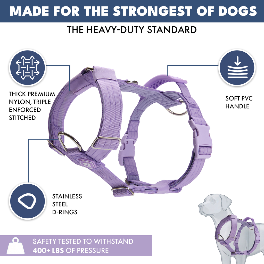 No-Pull Dog Harness Walking Set product image 44