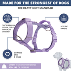 No-Pull Dog Harness Walking Set product image 44