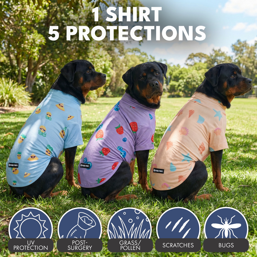 UPF 30 Dog Sun Shirt product image 36