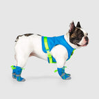 Hot Pavement Dog Boots product image 7