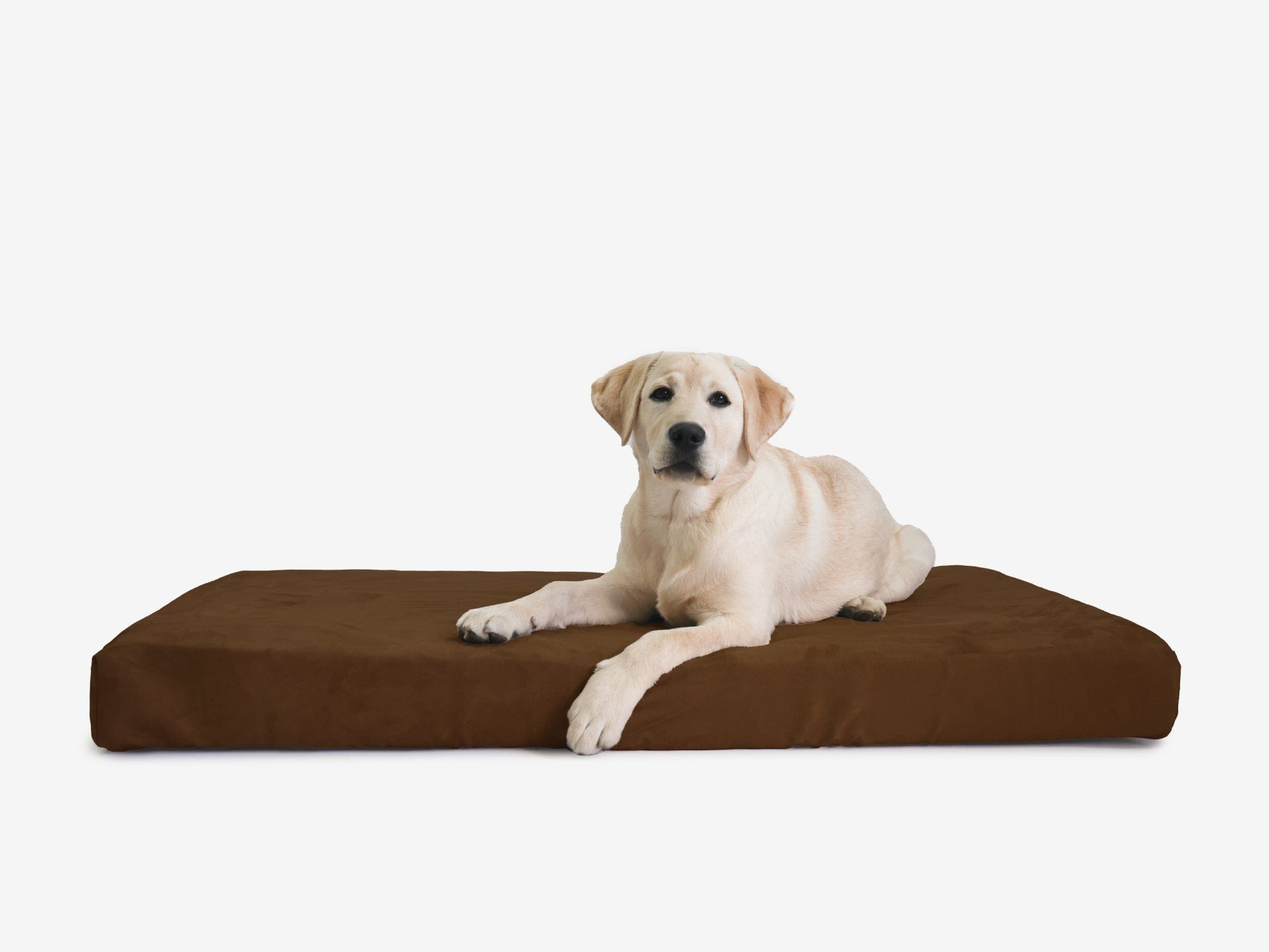 Orthopedic Dog Crate Bed product image 18