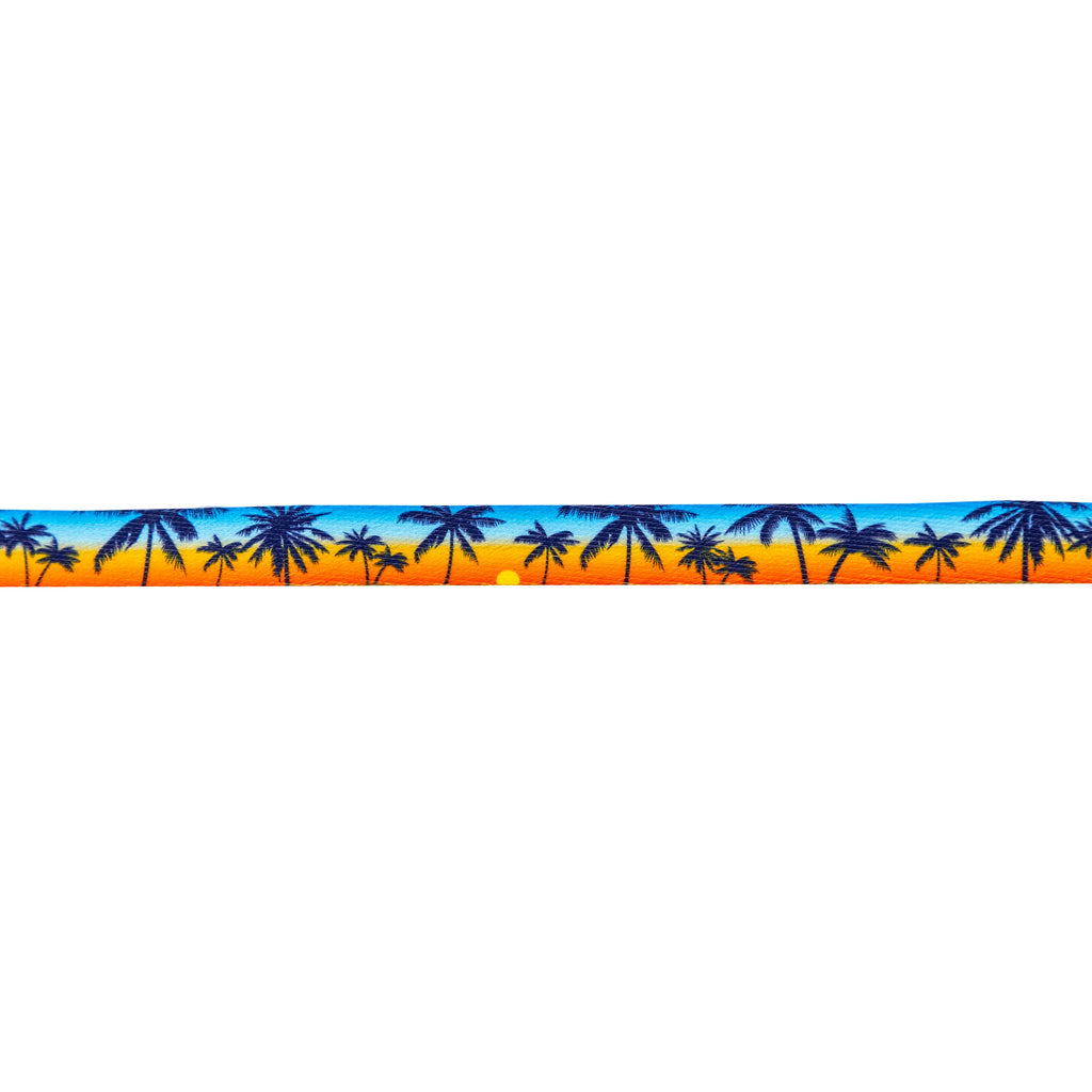 Martingale Dog Collar for Secure Everyday Walks, Adjustable Abrasion-Resistant Polyester for Comfortable Fit