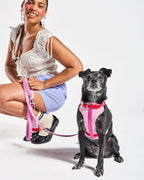 Cushioned No-Pull Dog Harness product image 3