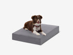 Orthopedic Dog Crate Bed product image 12
