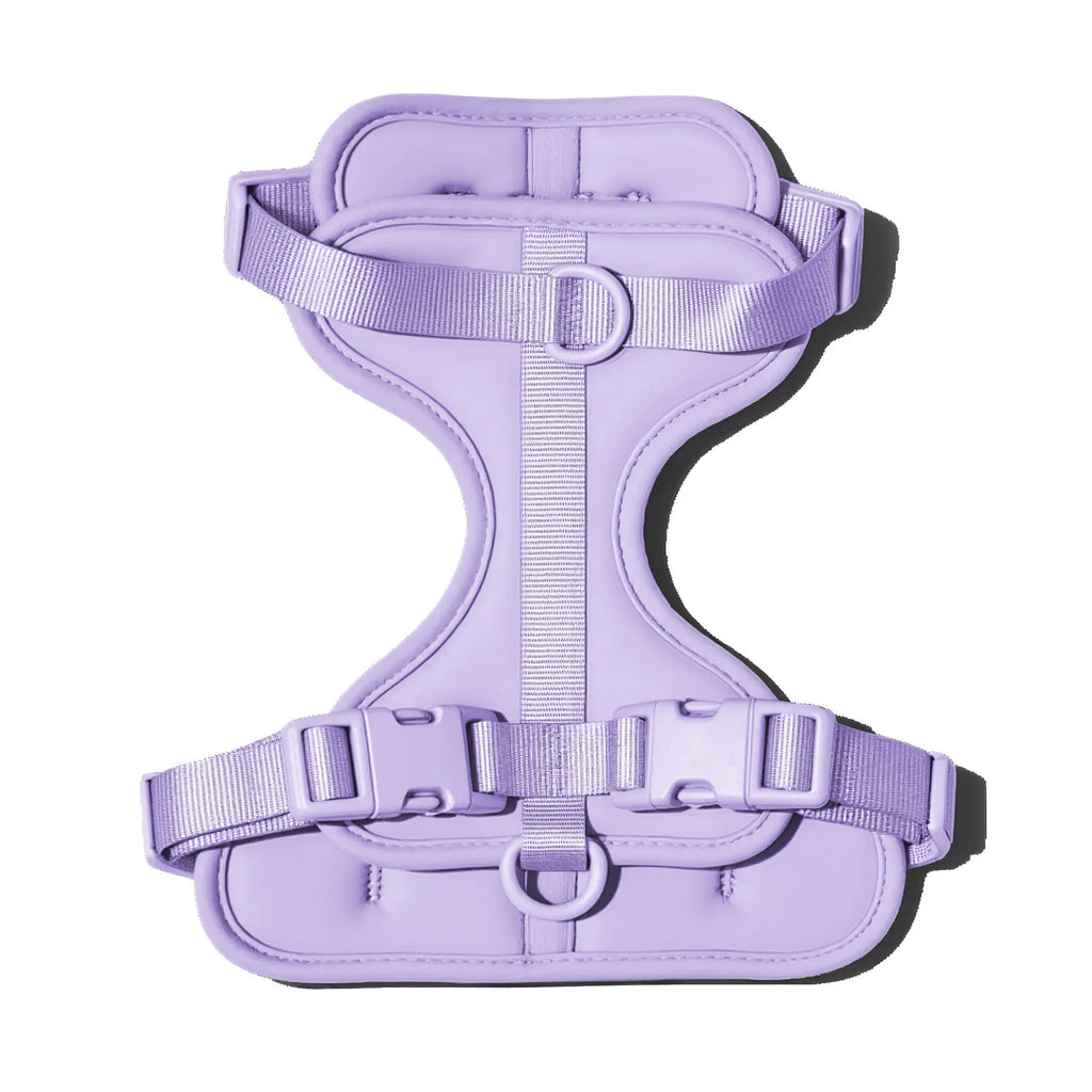 Adjustable dachshund dog harness with cushioned lightweight fit, product image 1