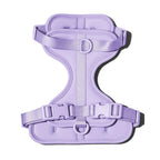 Adjustable dachshund dog harness with cushioned lightweight fit, product image 1