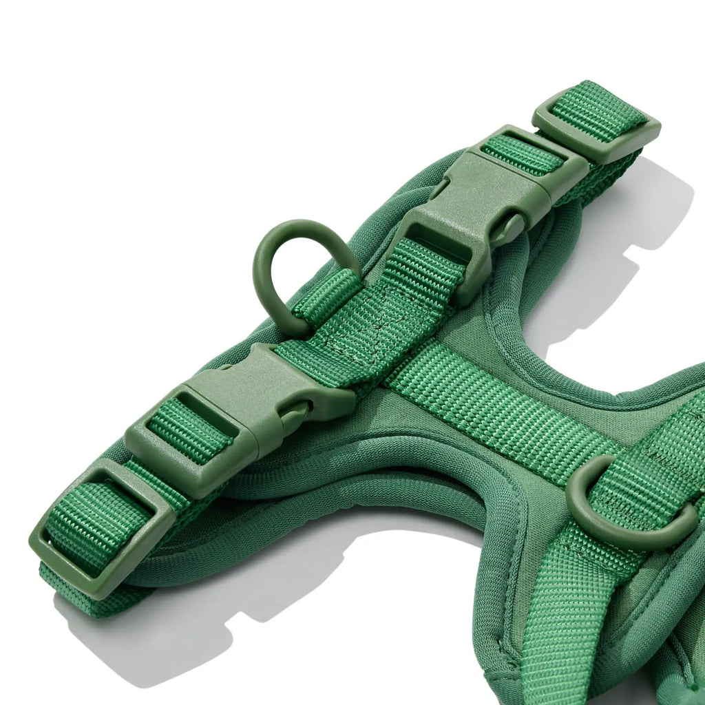 Adjustable dachshund dog harness with cushioned lightweight fit, product image 2