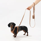 Adjustable dachshund dog harness with cushioned lightweight fit, product image 4