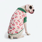 UPF 30 Printed Dog Sun Shirt product image 54