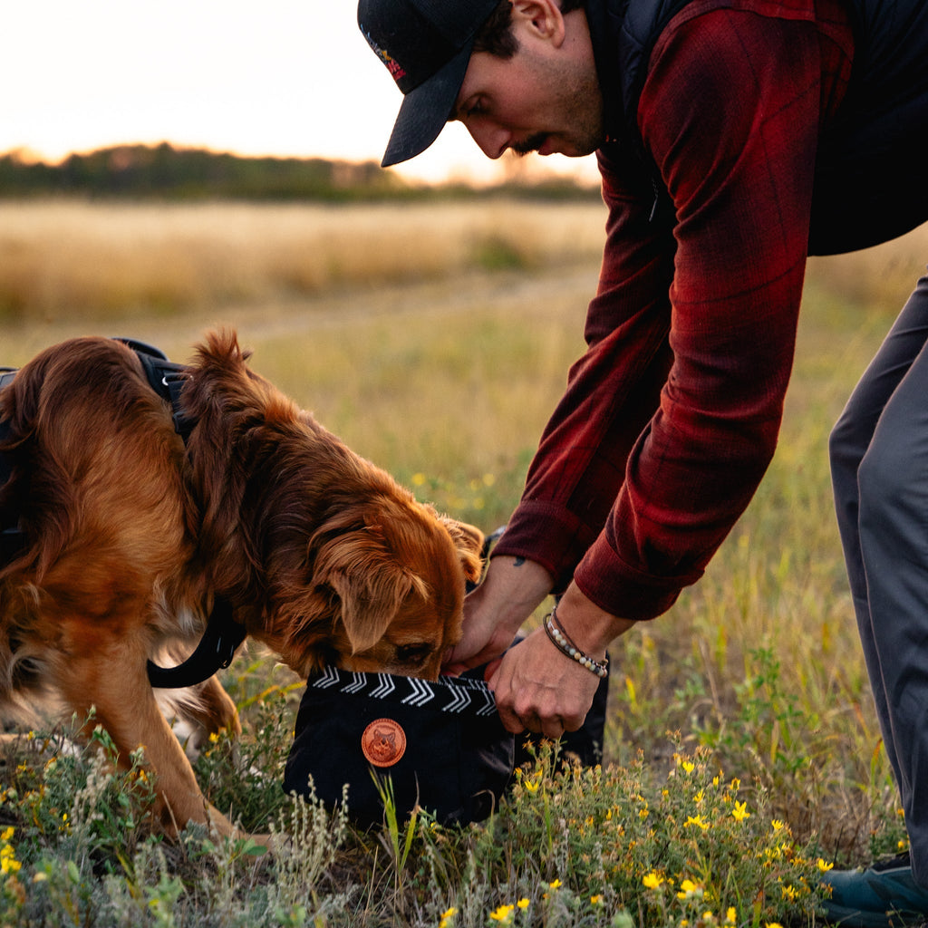 Packable Dog Travel Bowl product image 5