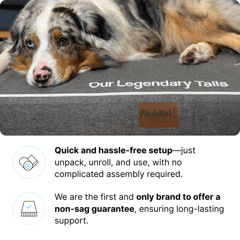 Waterproof Orthopedic Dog Bed product image 3