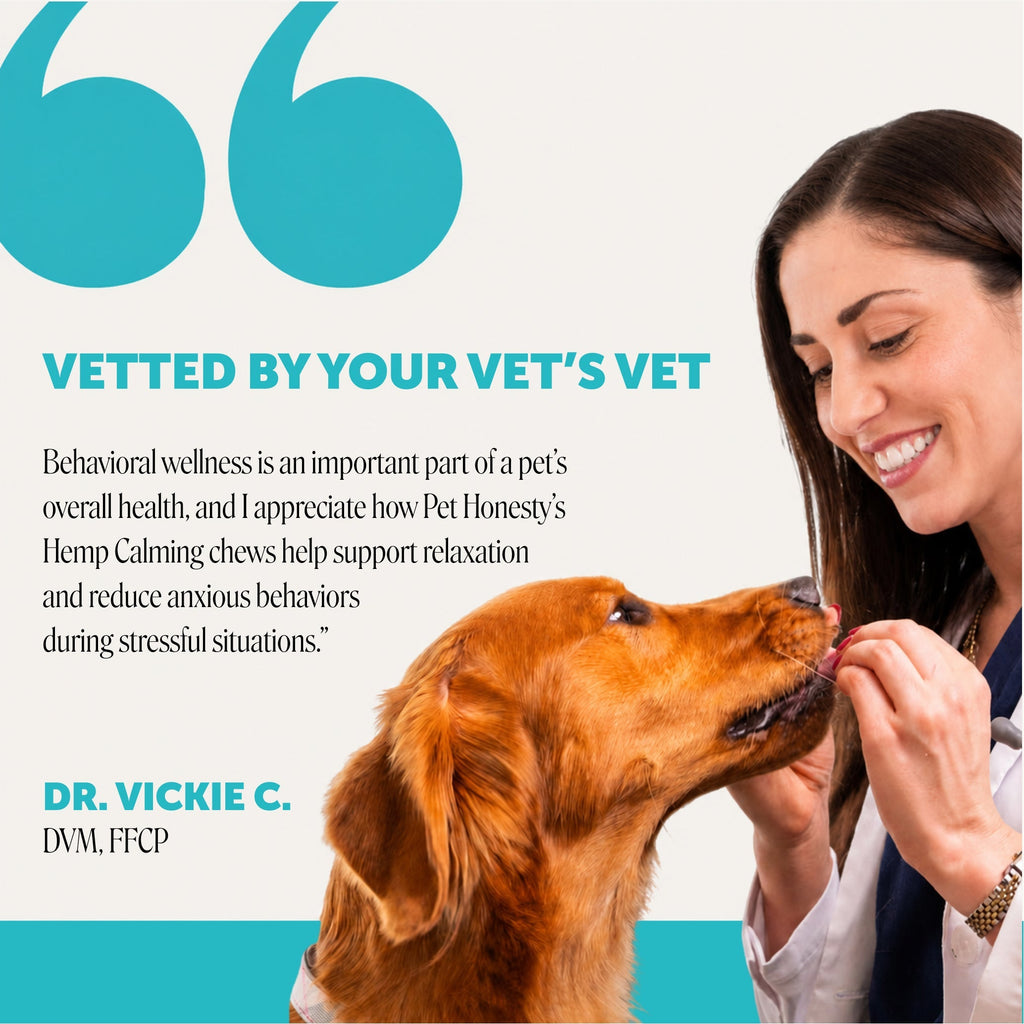 Dog Calming Soft Chews product image 5