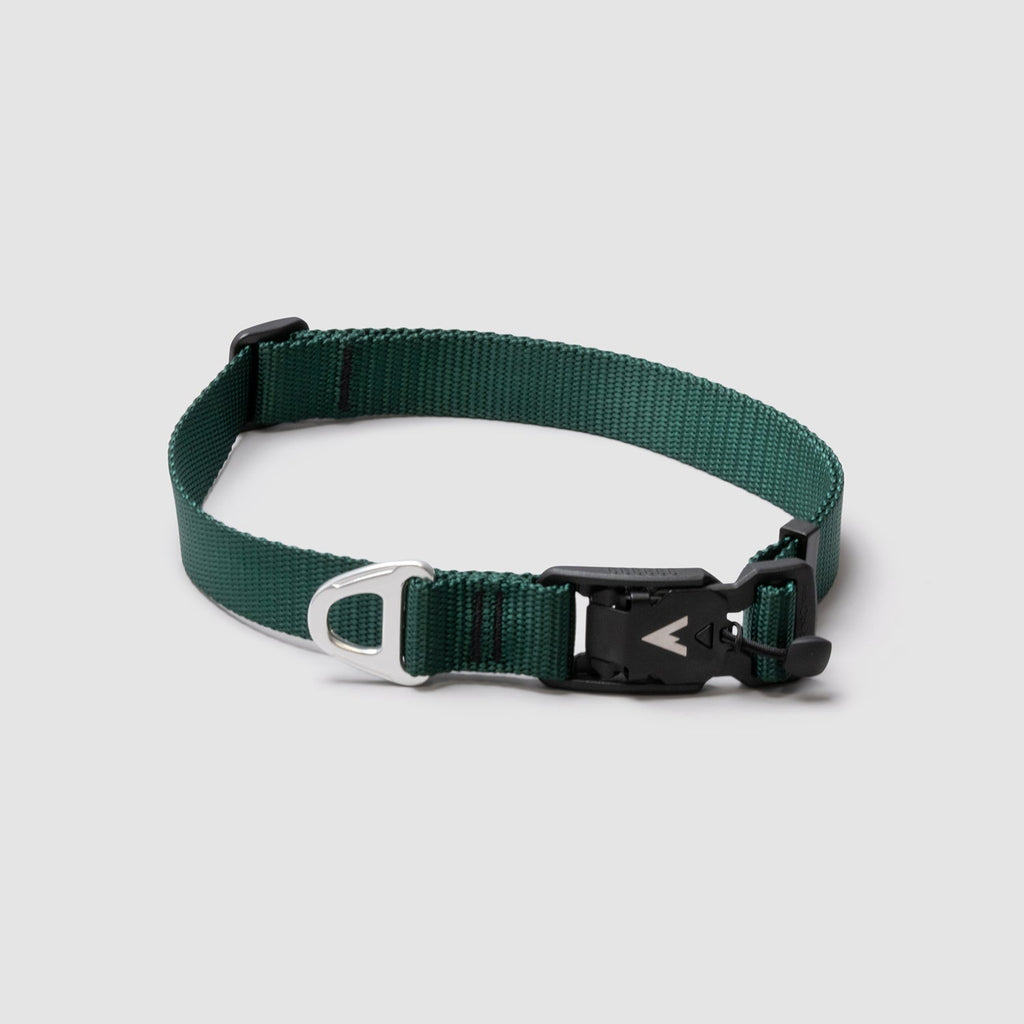 Adjustable Lightweight Dog Collar product image 3