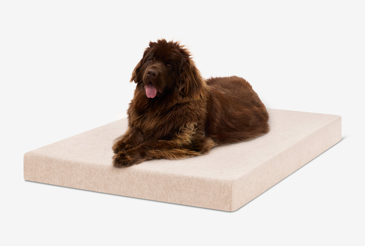 Orthopedic Dog Crate Bed product image 38