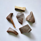 Moose Antler Dog Chew Assortment product image 12