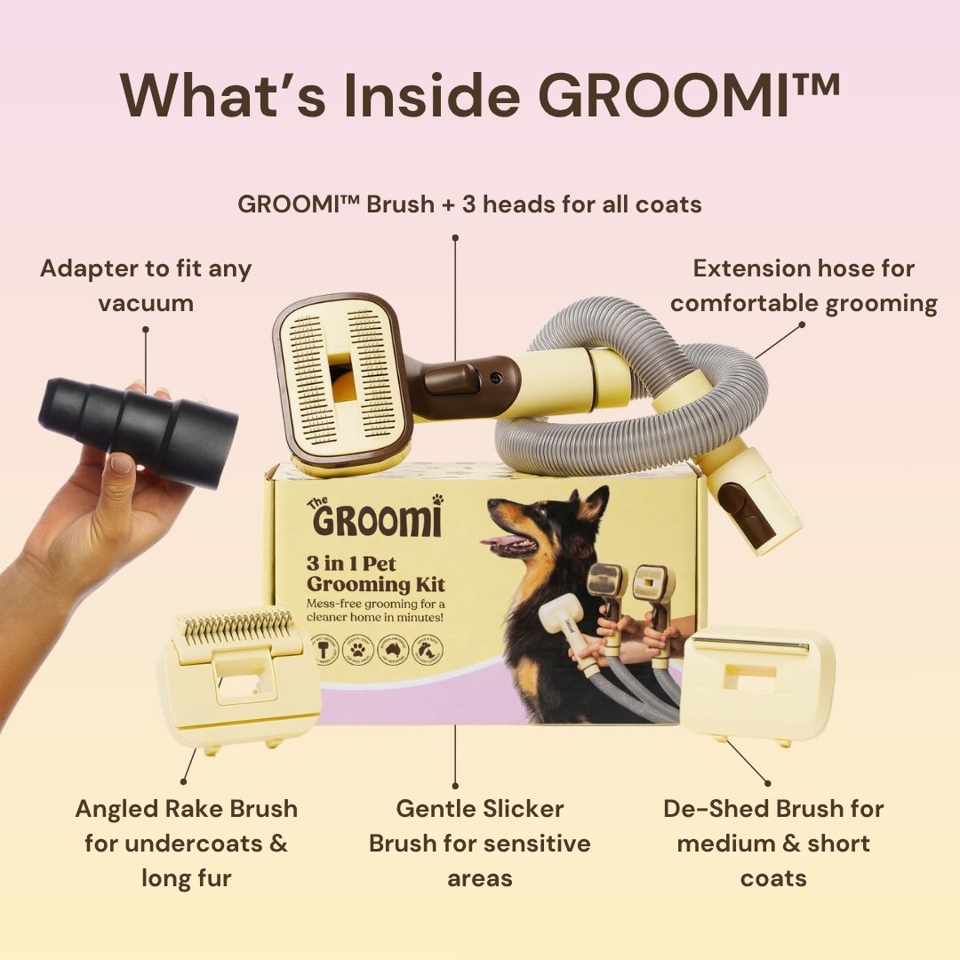 Vacuum Pet Grooming Brush Kit product image 3