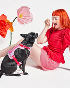 Cushioned No-Pull Dog Harness product image 4