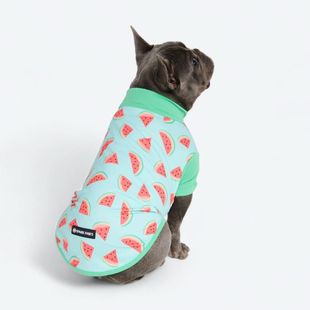 UPF 30 Printed Dog Sun Shirt product image 37