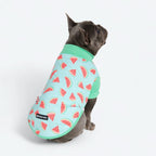 UPF 30 Printed Dog Sun Shirt product image 37