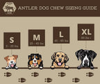 Moose Antler Dog Chew Assortment product image 16