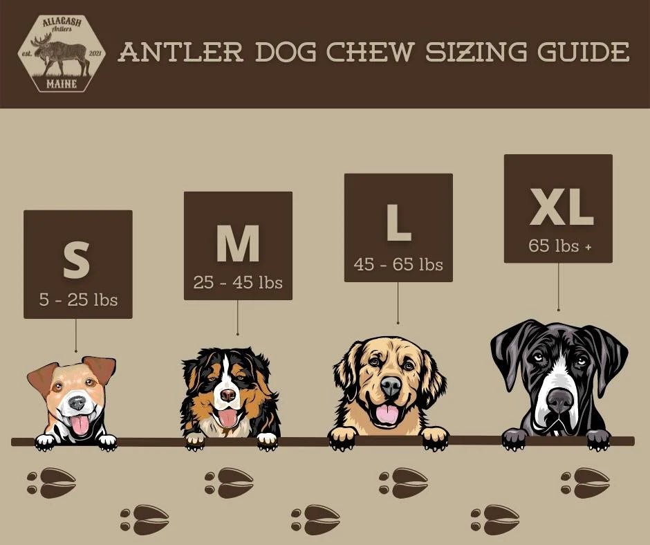 Moose Antler Dog Chew Assortment product image 16