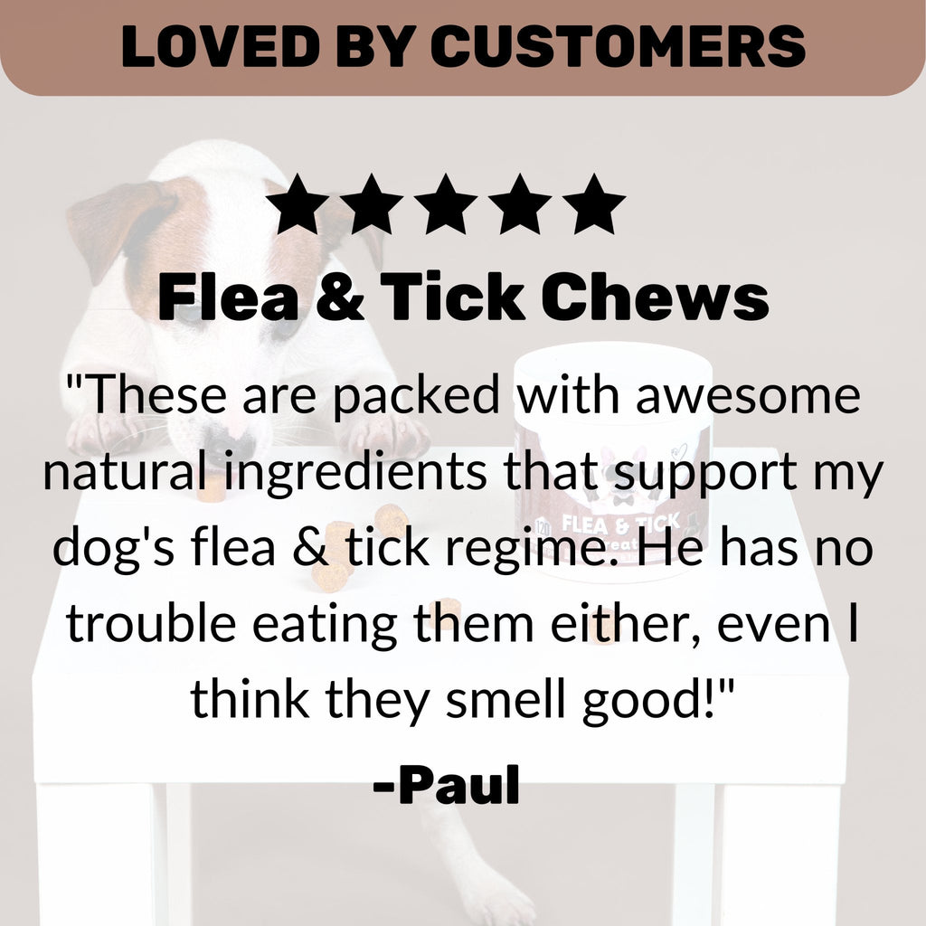 Flea and Tick Support Chews for Dogs product image 3