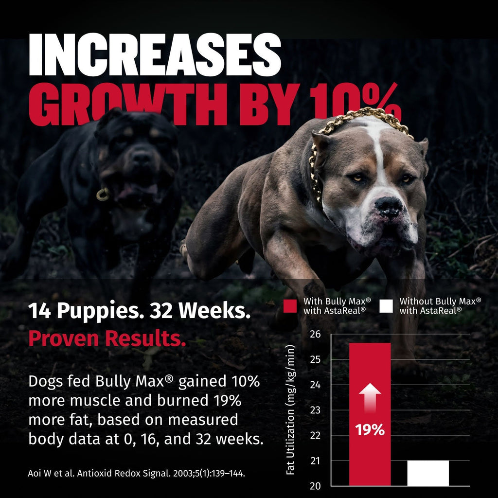 Liquid Muscle Support Supplement for Dogs product image 5