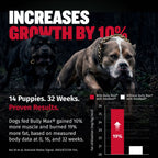 Liquid Muscle Support Supplement for Dogs product image 5