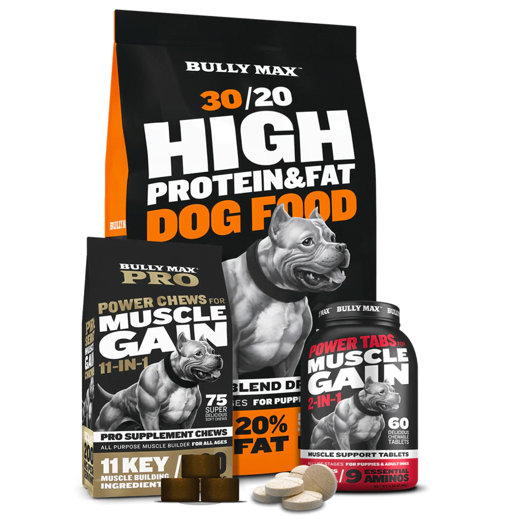 Dog Food and Supplement Bundle 1 Pack