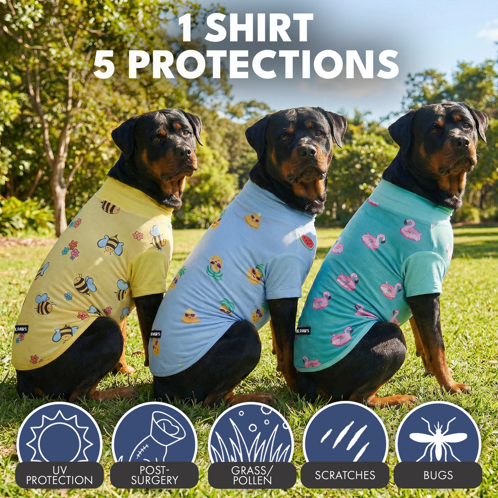 UPF 30 Dog Sun Shirt product image 14