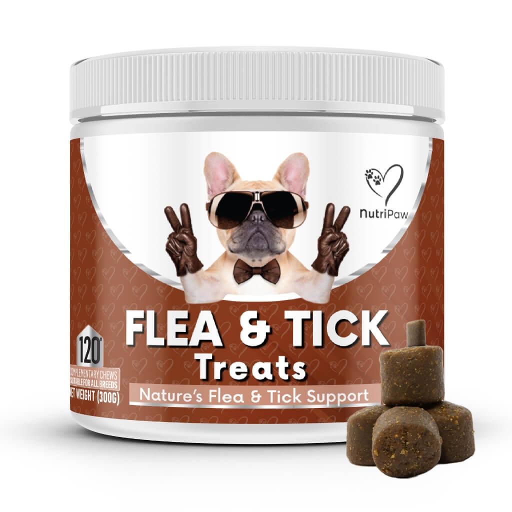 Flea and Tick Support Chews for Dogs product image 1