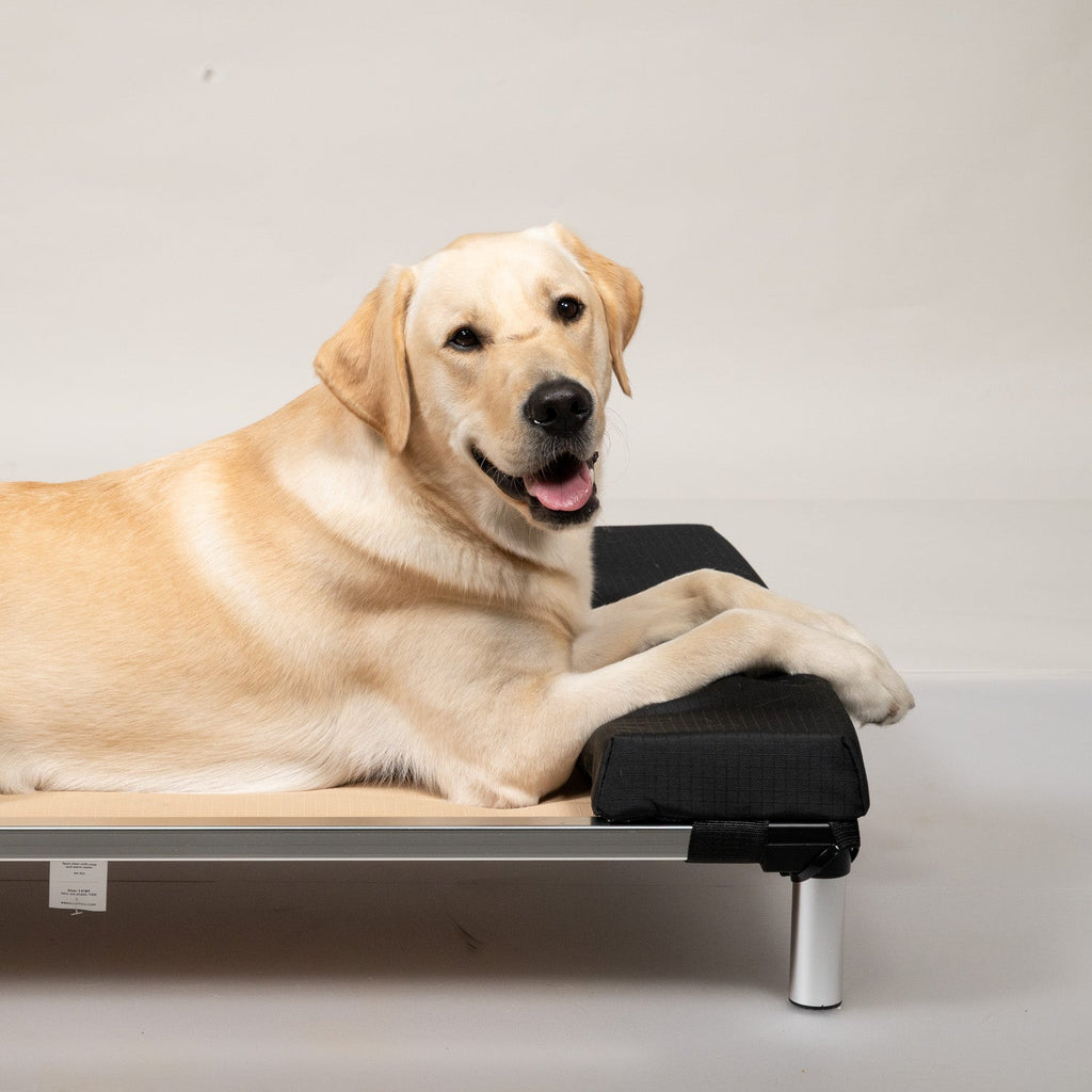 Elevated Dog Bed Headrest Pillow product image 3
