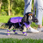 Hot Pavement Dog Boots product image 20