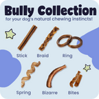Braided Bully Stick Dog Chews product image 2