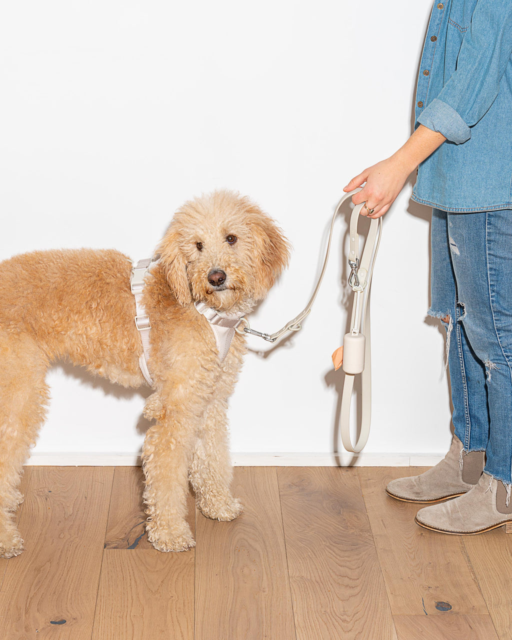Leash-Attached Dog Waste Bag Dispenser product image 61