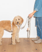 Leash-Attached Dog Waste Bag Dispenser product image 61