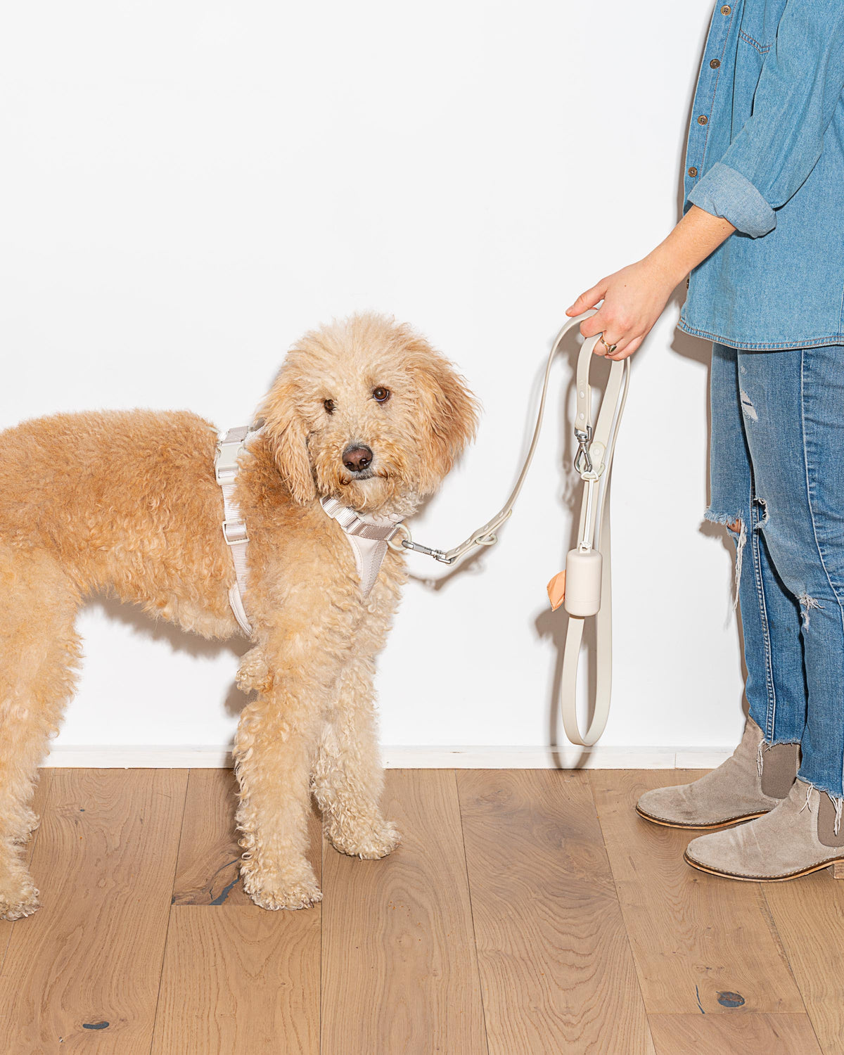 Leash-Attached Dog Waste Bag Dispenser product image 61