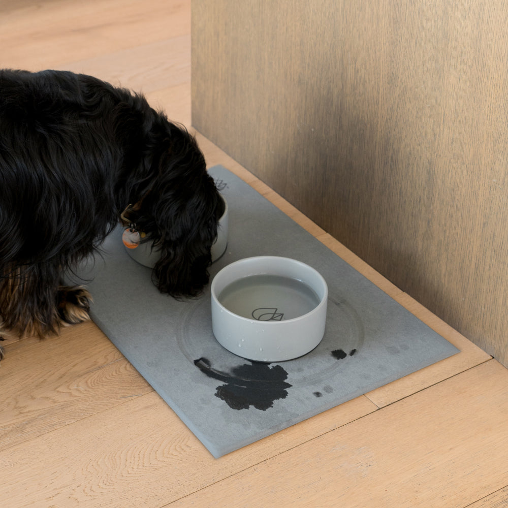 Stone-Base Dog Bowl Set product image 3