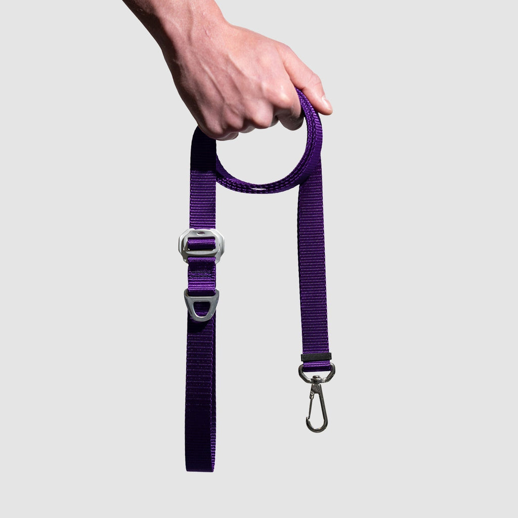 Adjustable Hands-Free Dog Leash product image 23