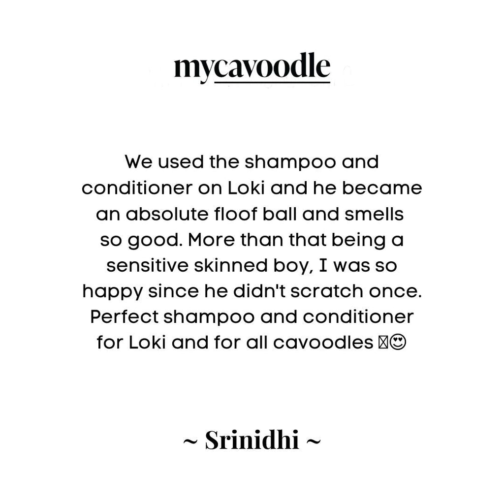 Dog Shampoo and Conditioner Set product image 7