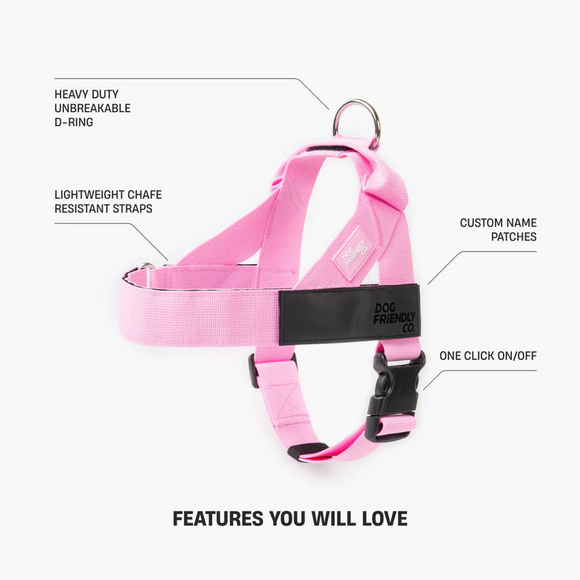 Adjustable Grab-Handle Dog Harness product image 12
